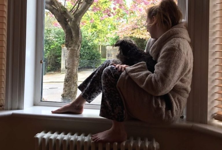 Loving Couple Builds Their New Dog A Castle Bed So He Can Look Out The Window
