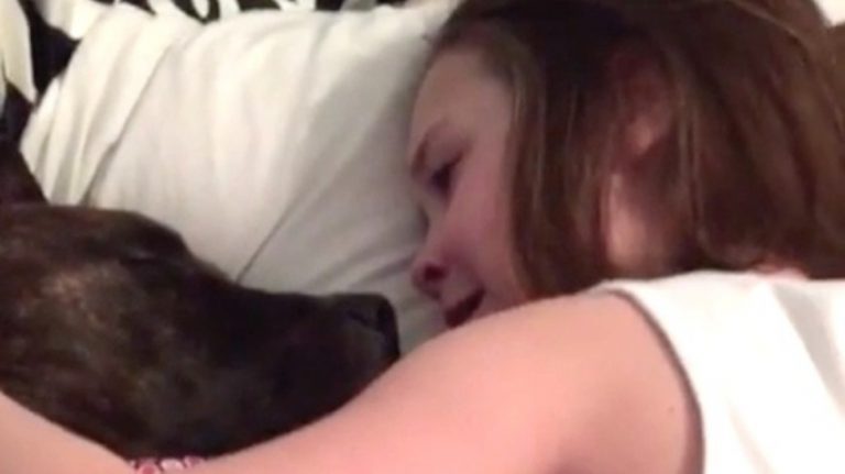 Girl Serenades Foster Dog So She Doesn’t Miss Her Mom