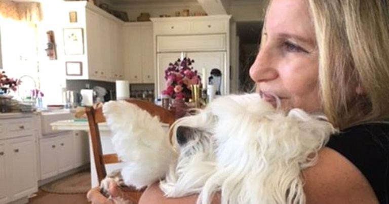Barbra Streisand Mourns The Loss Of Her Beloved 14-Year-Old Dog