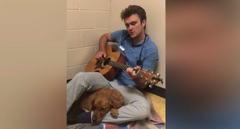 Veterinarian Serenades Dog To Calm Her Before Surgery