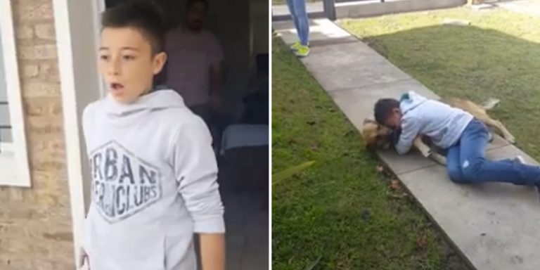 kid reunites with lost dog
