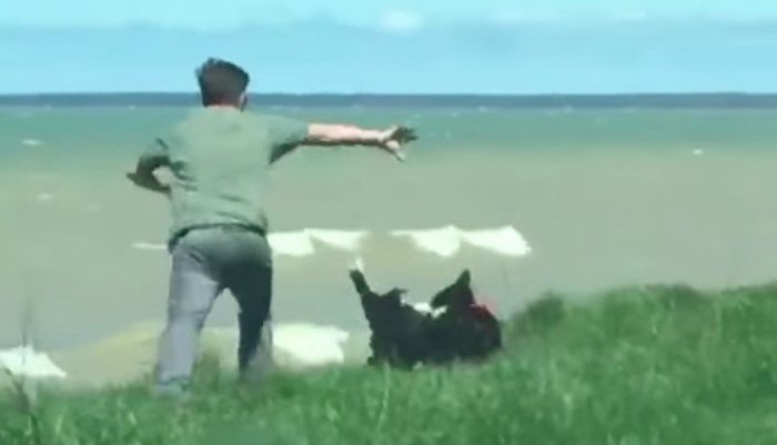 dog nearly falls off cliff