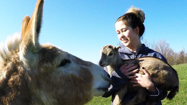 Donkey Meets Baby Goat And Instantly Falls In Love