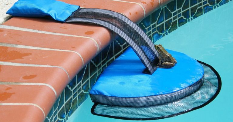 Man’s Invention Is Saving Small Wild Animals From Drowning In Pools