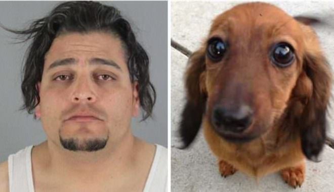 PetSmart Groomer Who Was Charged With Animal Cruelty After Dog Died Horribly, Acquitted By Jury