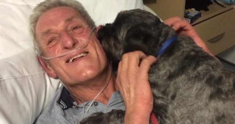 Man Wakes From Coma After His Dog Visits Hospital