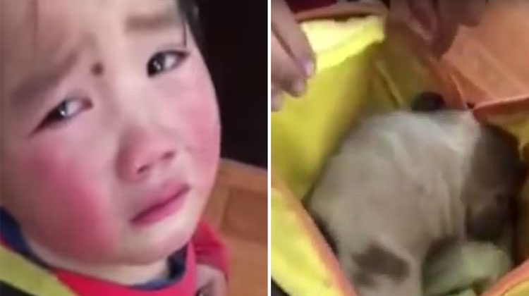 girl hides puppy