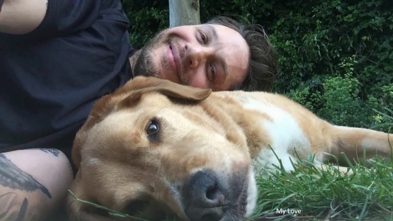 Tom Hardy Shares Heartbreaking Memorial For His Beloved Dog Woodstock
