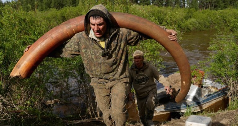 Men Hunt For Mammoth Tusks In Remote Wilderness In Hopes Of Striking It Rich
