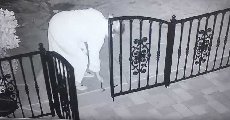 woman picks up snake