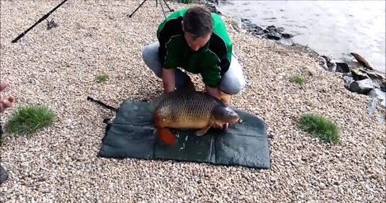 carp escapes fisherman