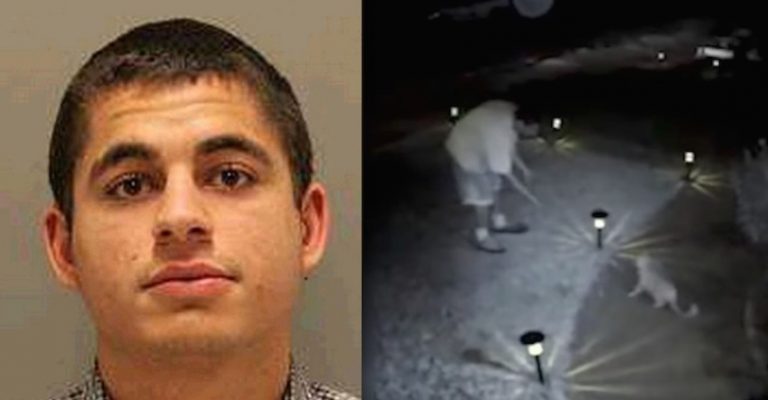 Man Caught Killing And Torturing 21 Cats Gets Sentenced To 16 Years In Jail