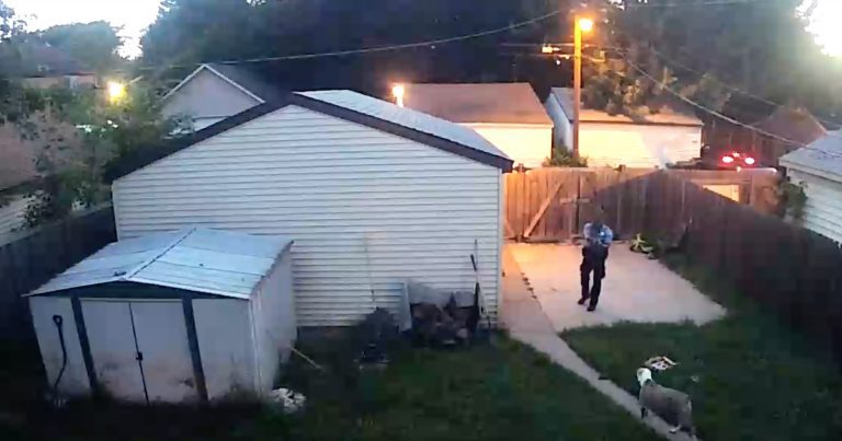 cop shoots dogs