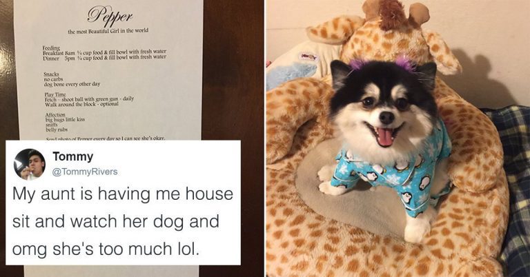 Aunt’s Dog-Sitting Instructions To Her Nephew Are Hilariously Relatable To Any Dog Lover