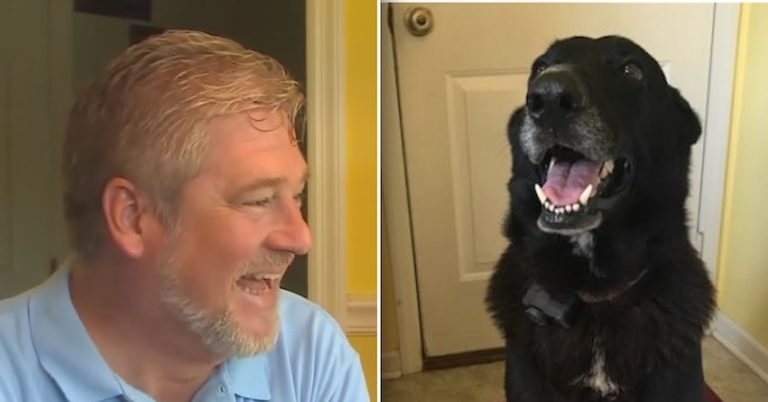 judo lost dog returns
