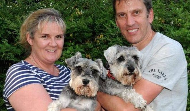 Lost Dogs Come Running After Their Family Cook Sausages Near The Spot They Went Missing