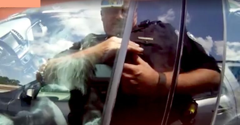 Police Come Just In Time To Save Two Dogs From Boiling Hot Car, Capture Rescue On BodyCam