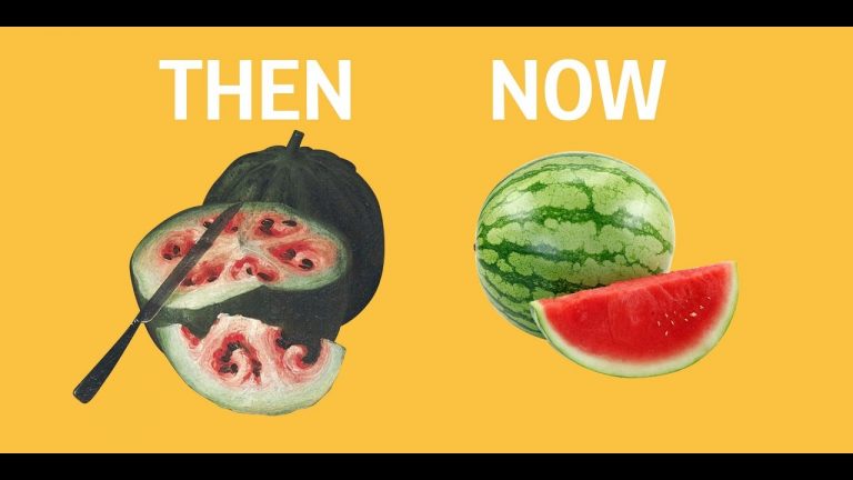 What Fruits And Vegetables Looked Like Before Humans Domesticated Them