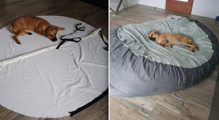 Man makes beanbag for dog