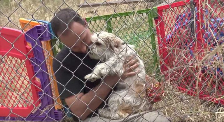 Bellanca rescued Hope For Paws