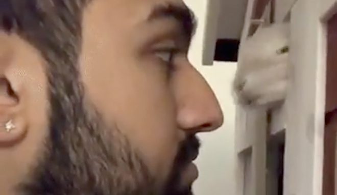bunny gives kisses