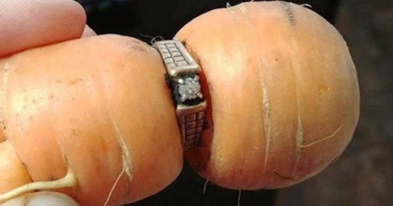 Woman Who Lost Her Diamond Engagement Ring 13 Years Ago, Shocked When It Turns Up On Carrot