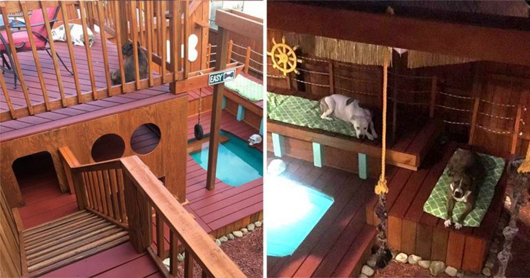 man builds incredible dog house