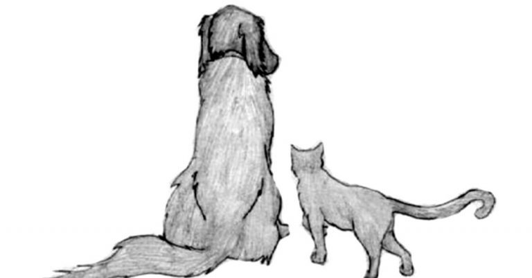 A Final Goodbye Letter To My Human
