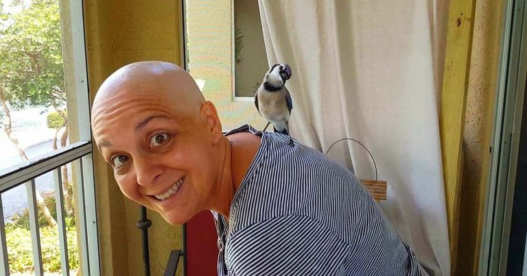 blue jay visits his surrogate family