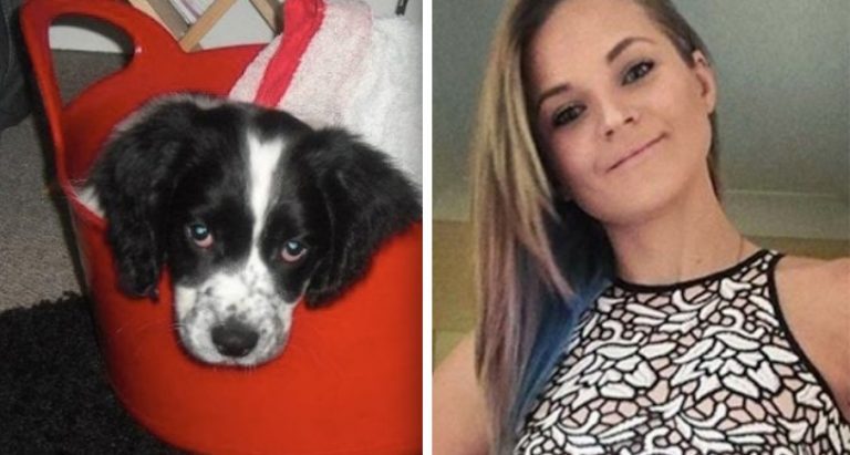Vet Nurse Found Guilty Of Repeatedly Poisoning Her Own Dog