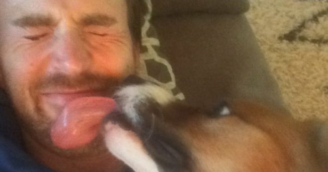 Chris Evans Has The Most Adorable Reunion With His Dog After 10 Weeks Apart