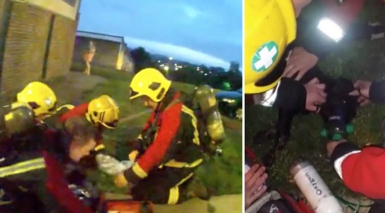 Firefighters Save Unconscious Puppy Trapped In Burning Building