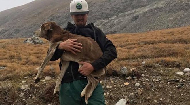 Hikers Rescue Dog That Was Trapped On Mountain For 6 Weeks After Hearing Her Cries
