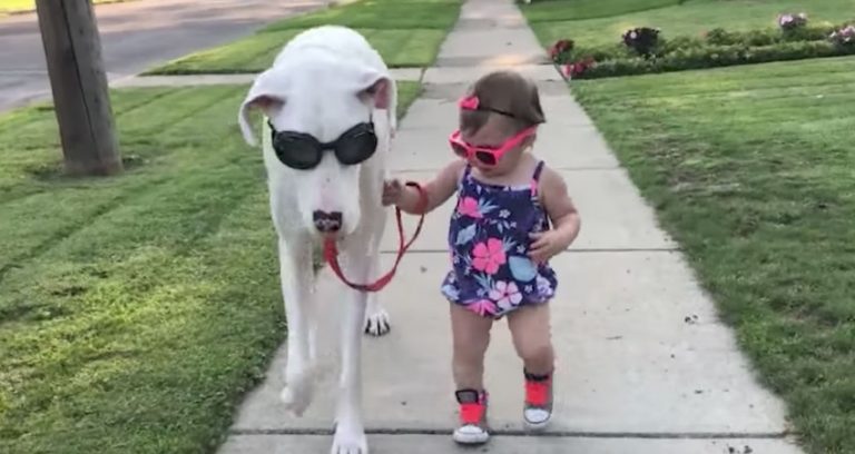 Little Girl And Her Deaf Rescue Dog Share Tender Bond