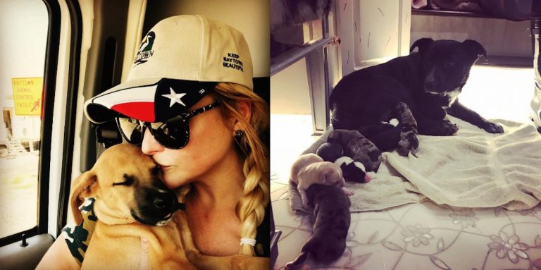 Miranda Lambert Helps Rescue Over 200 Pets In Hurricane