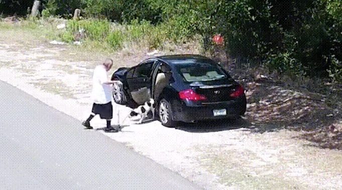 man dumps dog