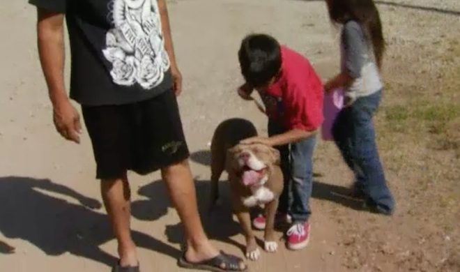 Dog Seen Calmly Playing With Kids After Cop Shoots Himself Trying To Kill Her