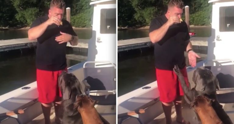 Man Asks Dog For A Cuddle In Exchange For Treat And Gets More Than He Expected