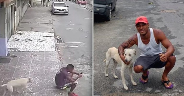 Video Of Stray Dog Peeing On Man Goes Viral, But The Man Surprises Everyone And Adopts Him