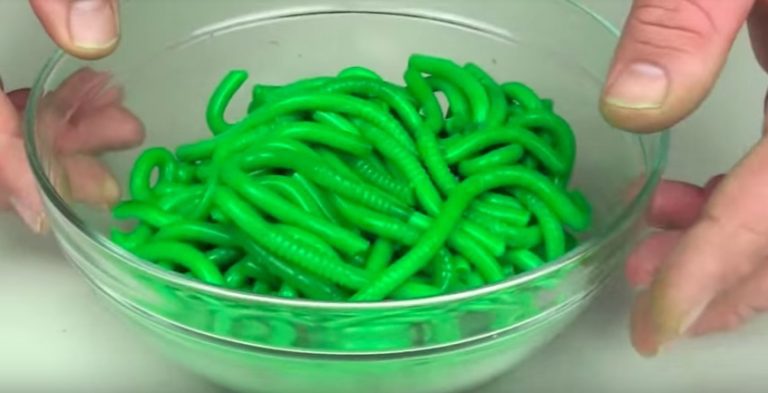 gummy worms