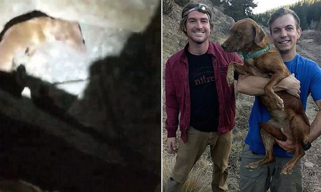 Hikers Save Dog They Find Trapped At Bottom Of Mine Shaft