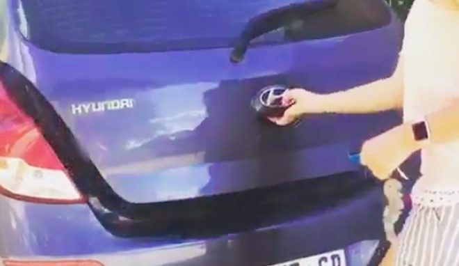 Woman Reveals Beagle Surprise When She Opens Up Hatch Of Her Car