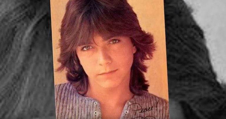 David Cassidy From The Partridge Family Has Passed Away