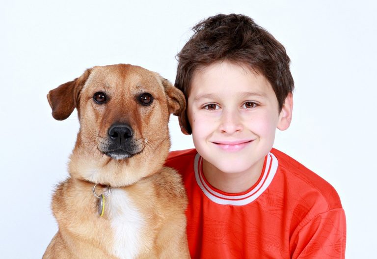 People Have More Empathy For Dogs Than Humans, According To Study
