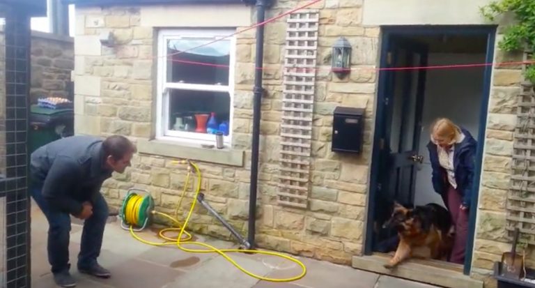 dog reunites with dad after months apart