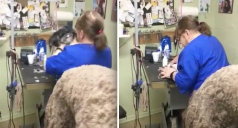 groomer controversial video
