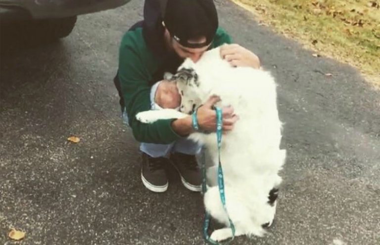 Border Collie Who Was Severely Neglected Leans In To Hug His New Dad