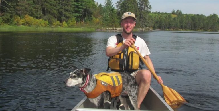 Lost Dog Survives Being Chased By Wolf, Reunites With Her Dad Thanks To Strangers
