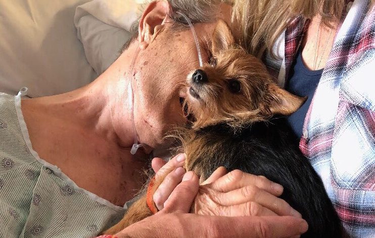 Nurses Help Sneak Dying Man’s Dog Into Hospital For Emotional Goodbye