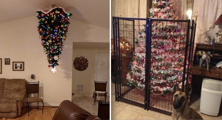 pet-proofed christmas trees